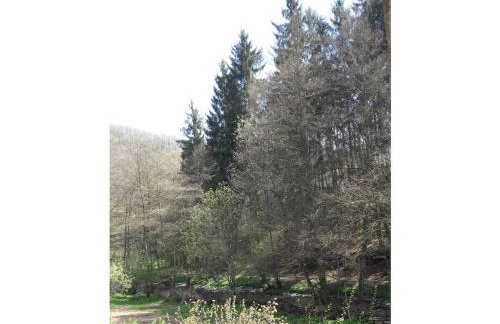 Main building Neumühle - Foto 3