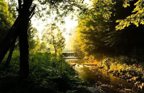 Ferienwohnung auf dem Dach des Frankenwaldes - Foto 18