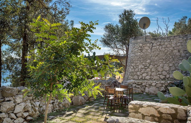 Pajara Acquaviva - Foto 6