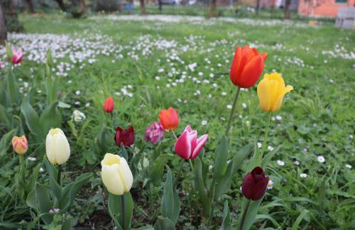 Ottimo punto per visitare la Toscana - Foto 20