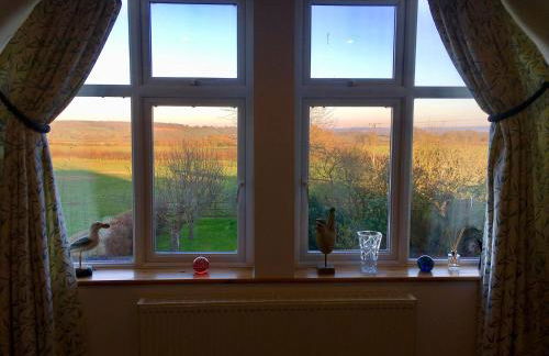 Little Glebe - Foto 15