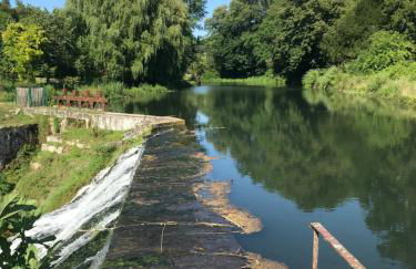 Comtesse de Dordogne - Photo 66