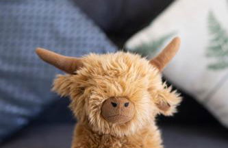 Bromach Lodge - Foto 27