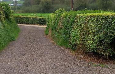 Bramble Cottage - Foto 23