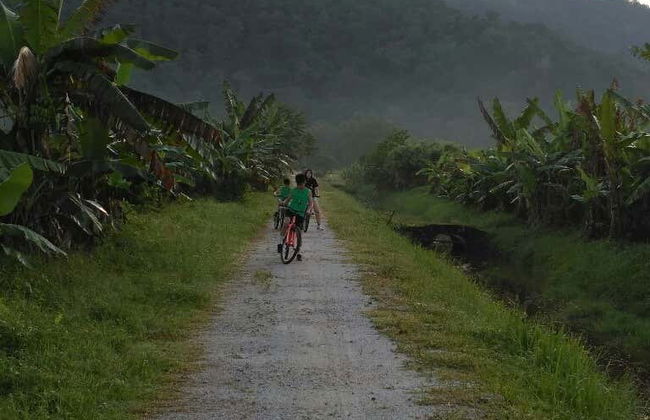 Visite à vélo dans Penang - Photo 8