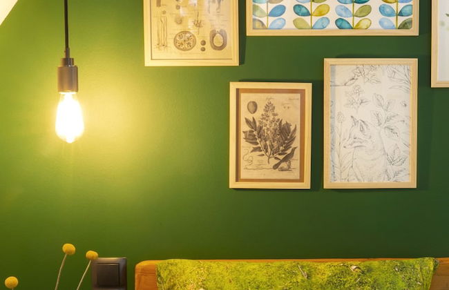 Green Deer Premium - Foto 7