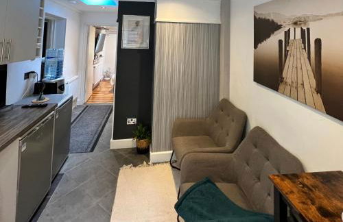 South London Private Guest Studio - Foto 7