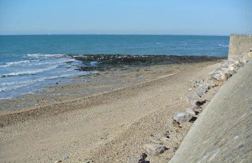 FACE A LA MER , L ARTISTE - Foto 25