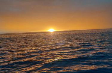 Skala Pearls A2 - Foto 32