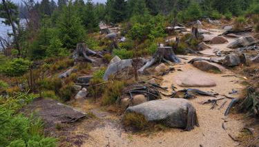 Dahls Ferienwohnung - Foto 5