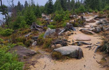 Dahls Ferienwohnung - Foto 5