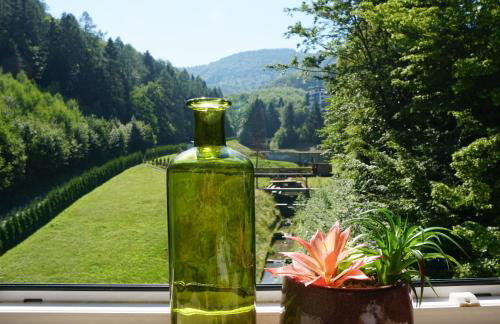 Czarodziejska Góra Kozubnik Daglezja - Foto 1