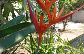 Casa Aconchegante - Foto 28