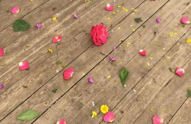 Cortijo Relatillos - Foto 29