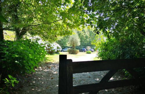 T0 Eira Trás - Foto 14