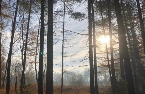 City-Apparte Boarding -Studios- Dein flexibles Zuhause in Gronau - Foto 56