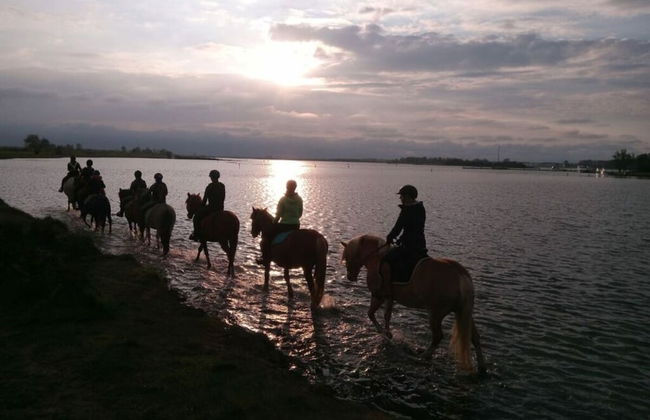 No Title Modern Retreat - Photo 3