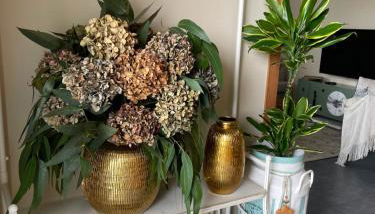 A Casa de Buxacos - Foto 2