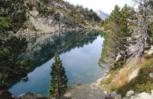 Casa Pirinea Ordesa - Foto 42