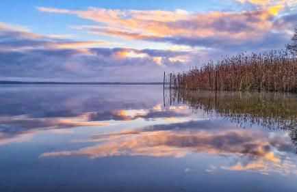 Ferienhaus Seeoase - 70qm - Kamin -Terrassen - Parkplatz - Badestelle fußläufig - Photo 30