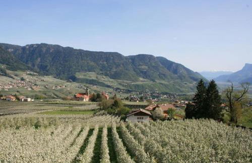 Residence Streitlhof - Foto 9