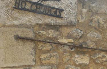 hô choucas - Foto 44