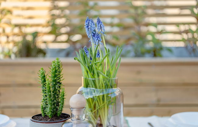 Maryflower Premium Apartments Piraeus - Foto 15