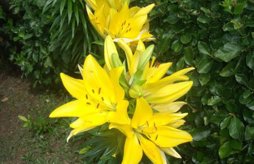 Casa Bianca - Foto 24