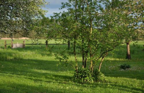 Villa Osterloff - Foto 38