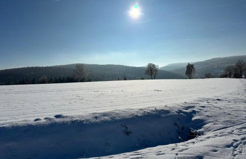 Etzauer Mühle im Taunus - Foto 8