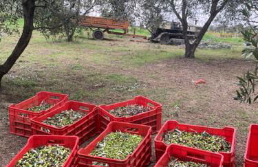 Agriturismo Cerquatonda - Foto 30