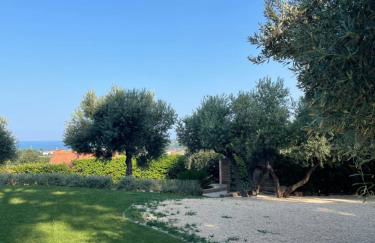 La BouganVillea - Foto 52