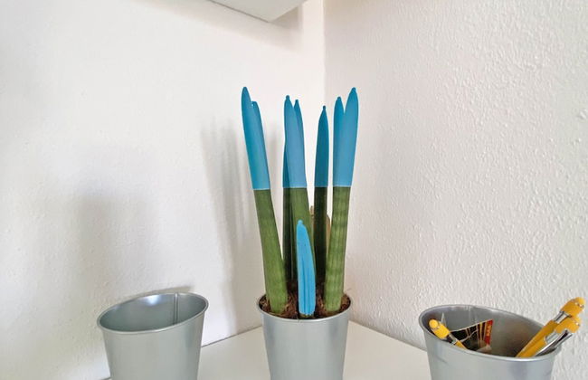 Sunset House PuntoCasaBudoni - Foto 36