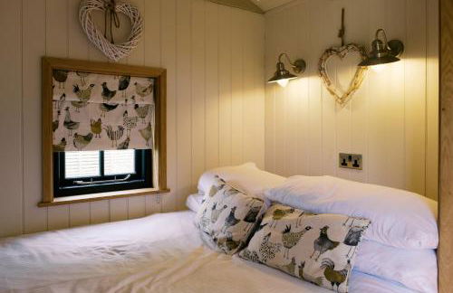 Shepherd's Hut- Hot Tub- Wellness Spa- Wood Burner - Foto 28