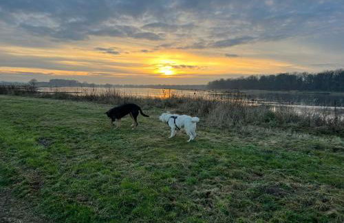 Elbauen-Chalet - Foto 33