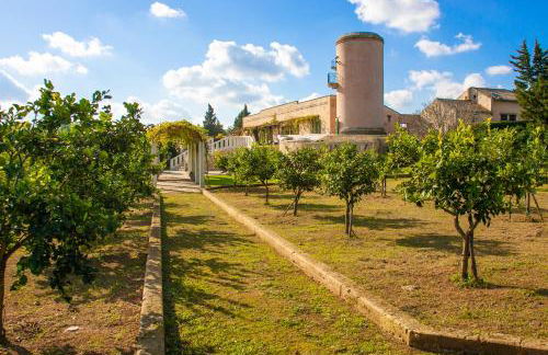 Naturalis Bio Resort - Foto 34