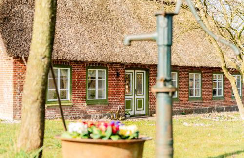 Ferienwohnung Teve - ebenerdig unter Reet & hyggelig mit Kamin - Foto 30