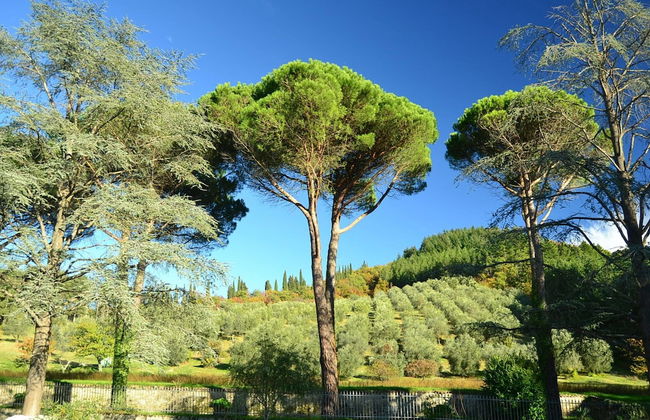 Serene Farmhouse in Dicomano With Swimming Pool - Photo 38