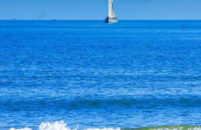 L'hippocampe - Foto 20