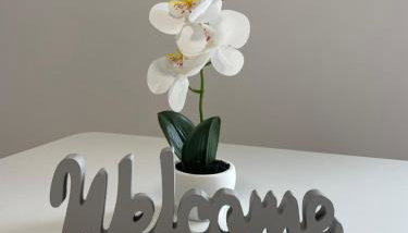 Solny apartament - Foto 5