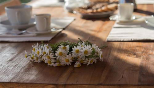 La Casa dell Olivo - Foto 5