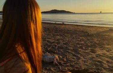 Brynglas Cottage with Hot Tub, Anglesey. - Foto 7