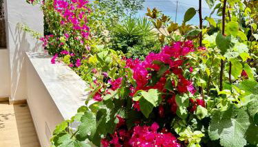 Despoina's Maisonette at Rafaella Resort - Foto 4