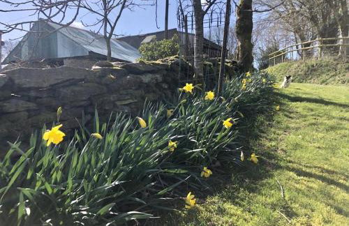 The Piggery Dulverton - Foto 46