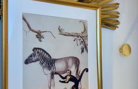 Élégant appartement lumineux hypercentre Orléans - Foto 35