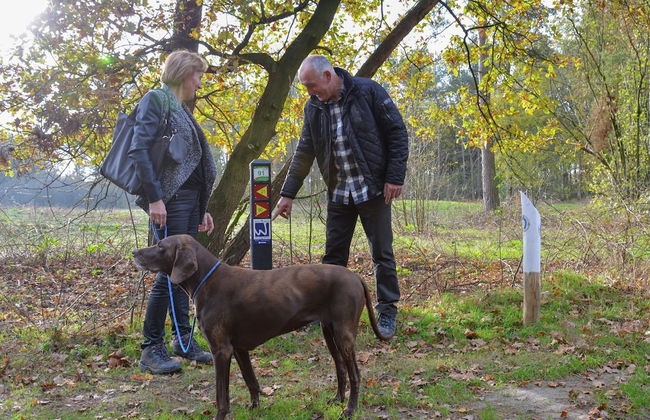 Stylish Villa by the Lake - Foto 59