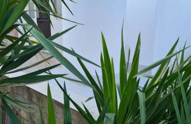 Casa Vacanza Delfino Azzurro - Noto Marina - - Foto 23