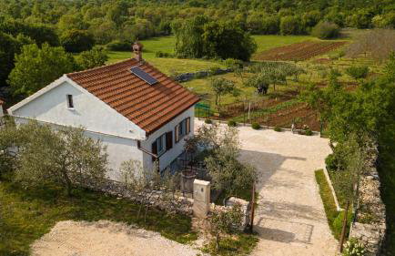 Spignoviza - Foto 37