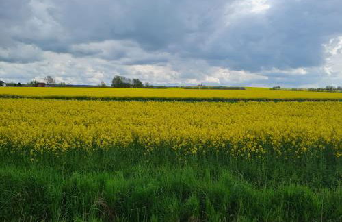 Ferienwohnung im Leuchtturmort Bastorf - Photo 13