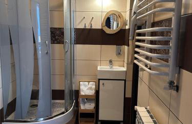 Apartament w Beskidach Niezapominajka przy stoku - Foto 8